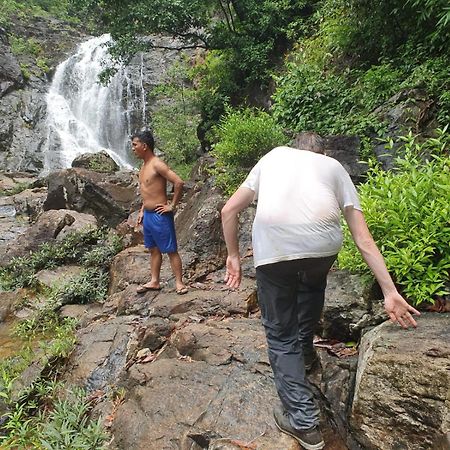 Bee Bee'S Chalets Home Stay And Trekking Banlung Exteriör bild