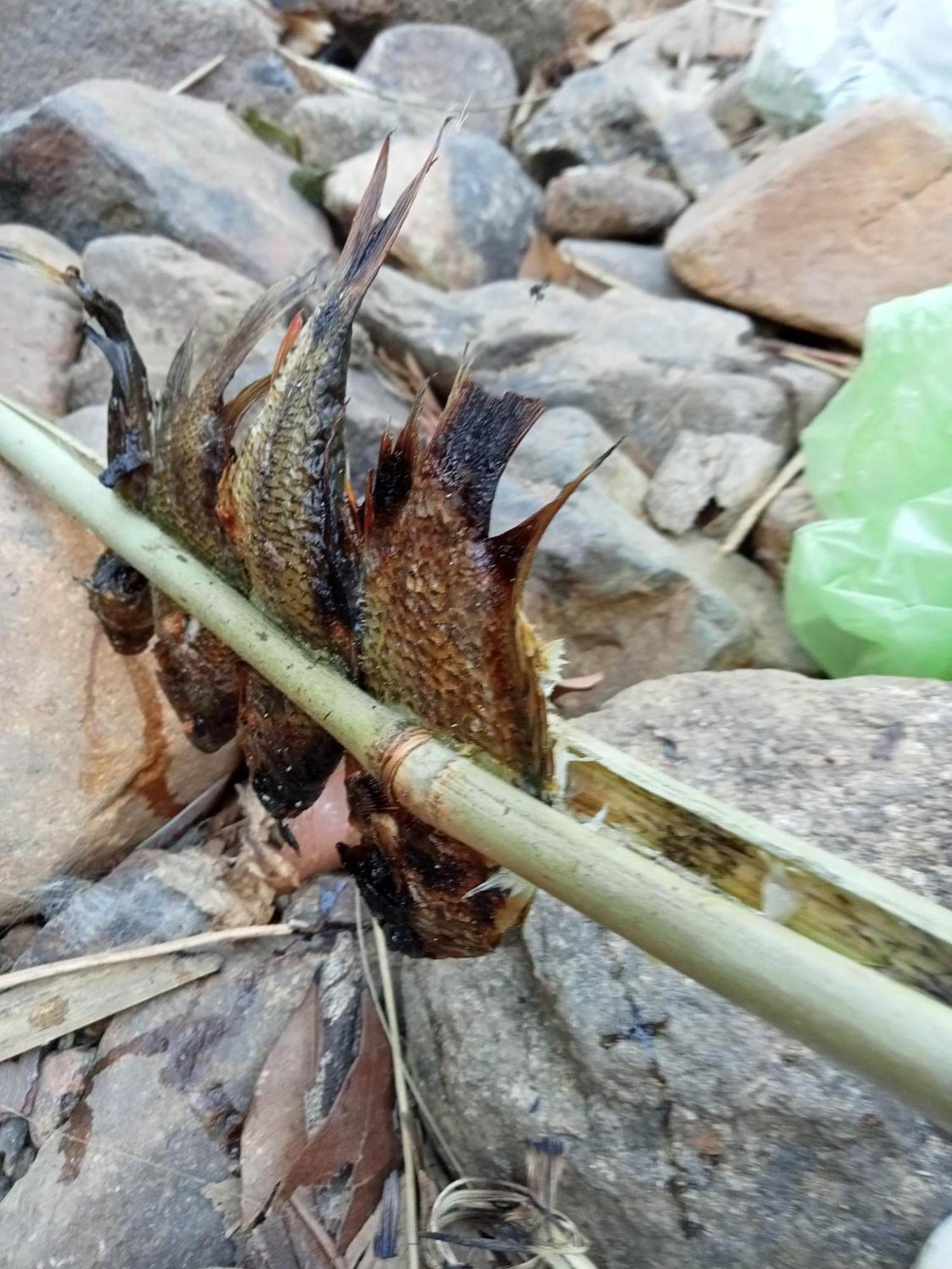 Bee Bee'S Chalets Home Stay And Trekking Banlung Exteriör bild