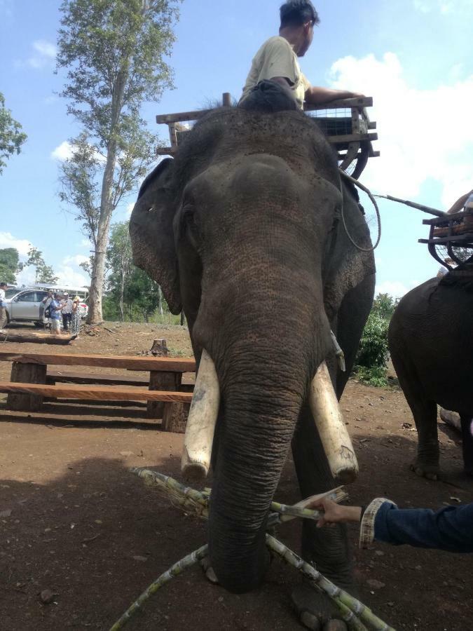 Bee Bee'S Chalets Home Stay And Trekking Banlung Exteriör bild